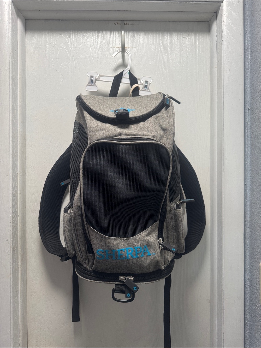 Sherpa 2 in 1 Backpack pet carrier